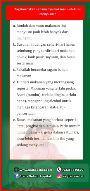 MAKANAN IBU MENYUSUI